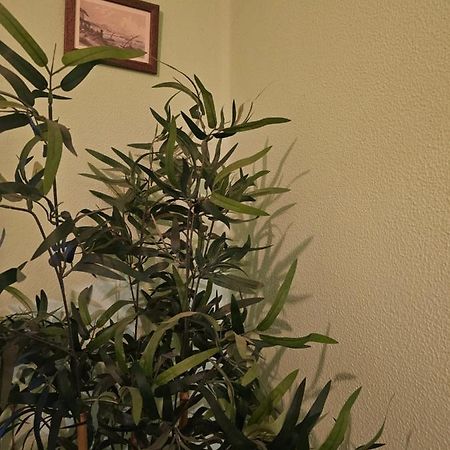 Habitacion Amplia Y Centrica En Piso Compartido A Coruña Εξωτερικό φωτογραφία